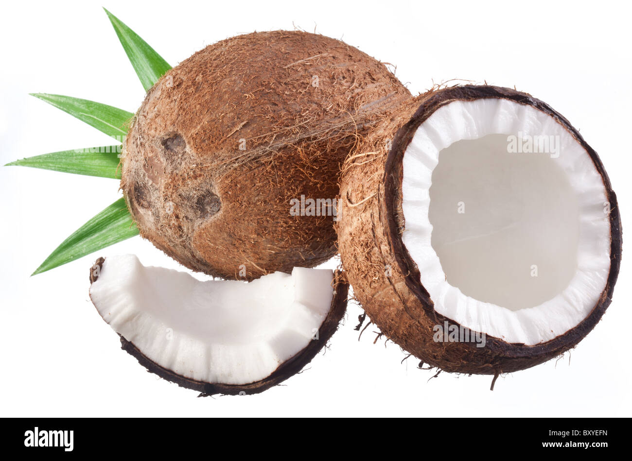 Foto di alta qualità e di noci di cocco su uno sfondo bianco. Foto Stock