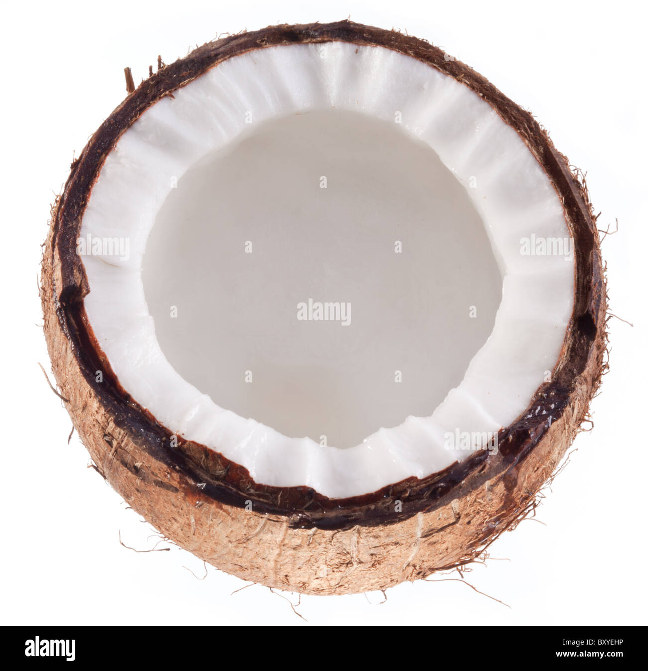 Foto di alta qualità e di noci di cocco su uno sfondo bianco. Foto Stock