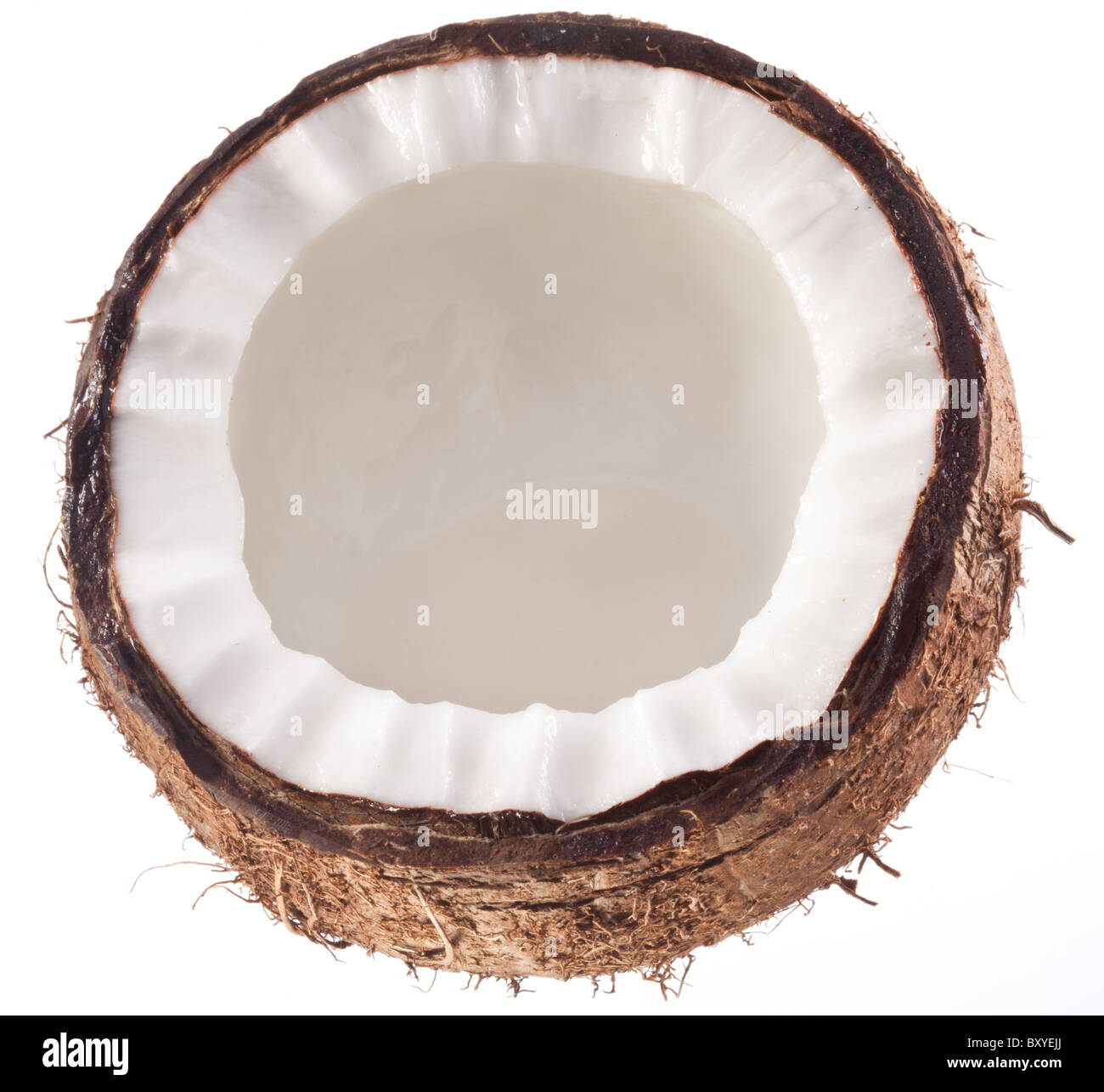 Foto di alta qualità e di noci di cocco su uno sfondo bianco. Foto Stock