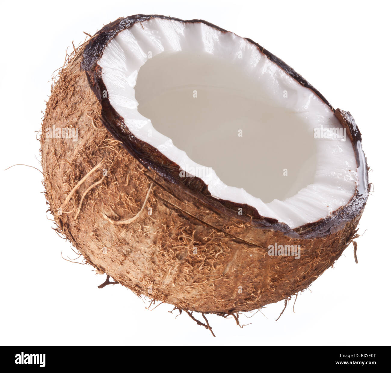 Foto di alta qualità e di noci di cocco su uno sfondo bianco. Foto Stock
