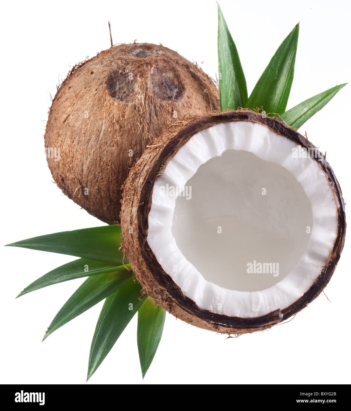 Foto di alta qualità e di noci di cocco su uno sfondo bianco. Foto Stock