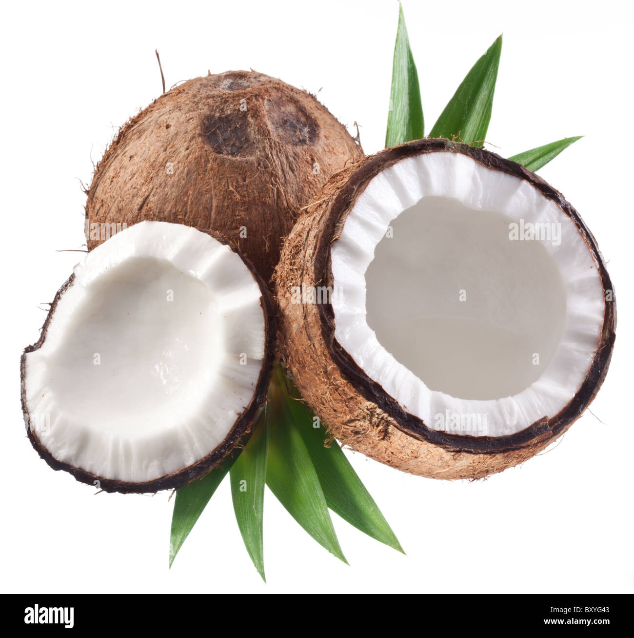 Foto di alta qualità e di noci di cocco su uno sfondo bianco. Foto Stock