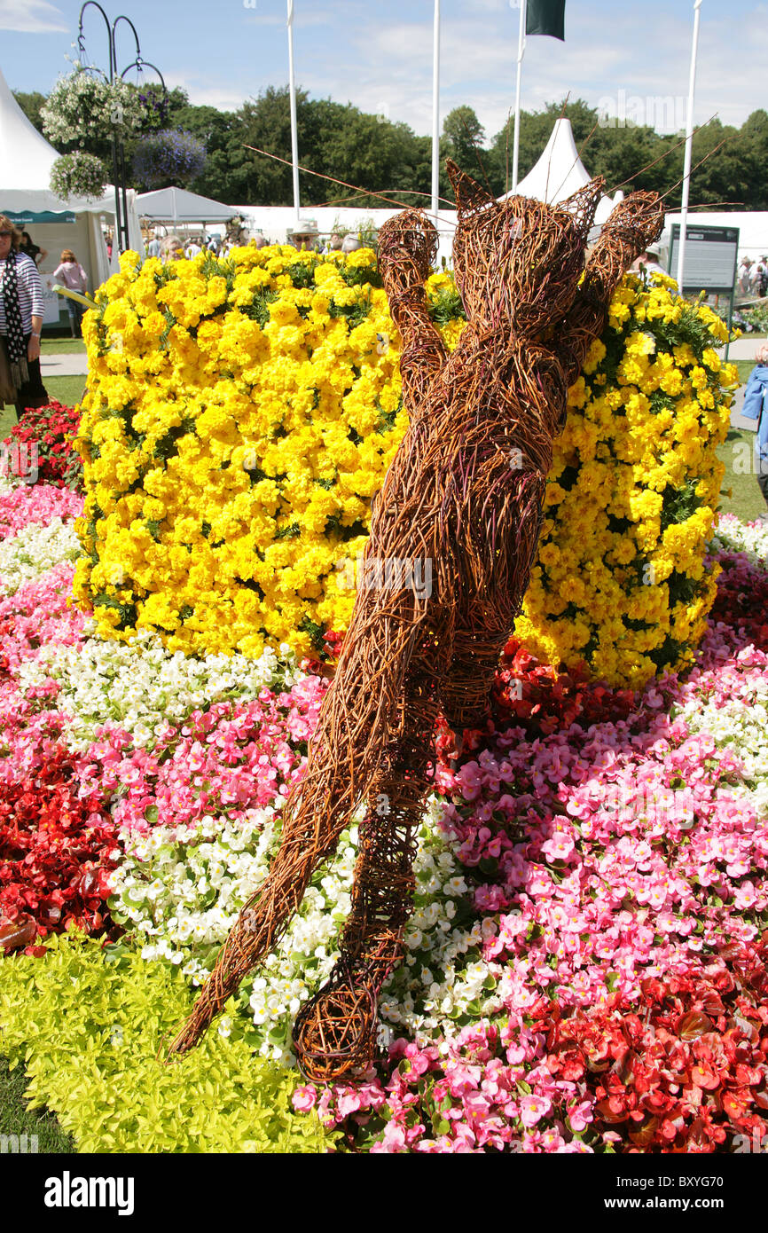 RHS Tatton, Cheshire. Il Cheshire est aiuola del Consiglio denominato 'Cheshire Cheese si prega di' alla RHS Tatton. Foto Stock