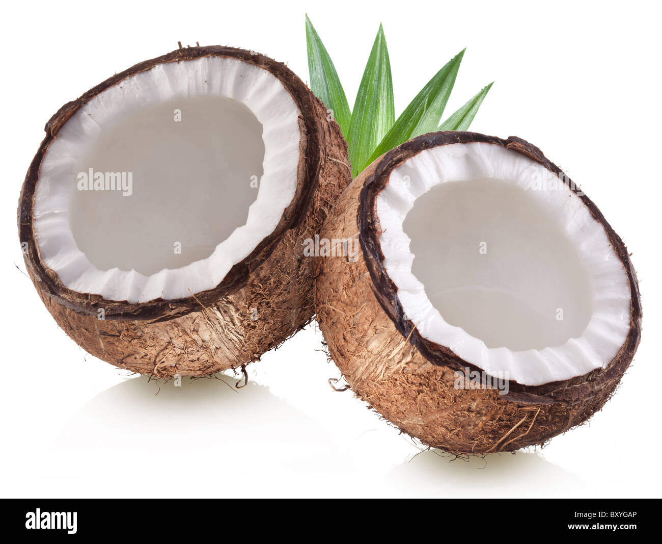 Foto di alta qualità e di noci di cocco su uno sfondo bianco. Foto Stock
