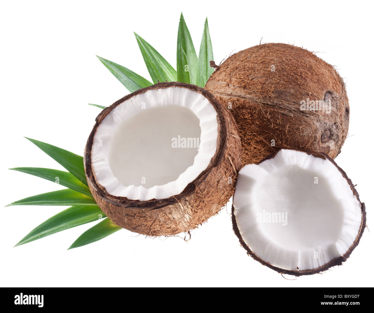 Foto di alta qualità e di noci di cocco su uno sfondo bianco. Foto Stock