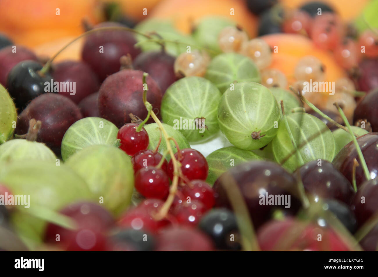 RHS Tatton, Cheshire. Frutta estiva concorso ad RHS Tatton. Foto Stock