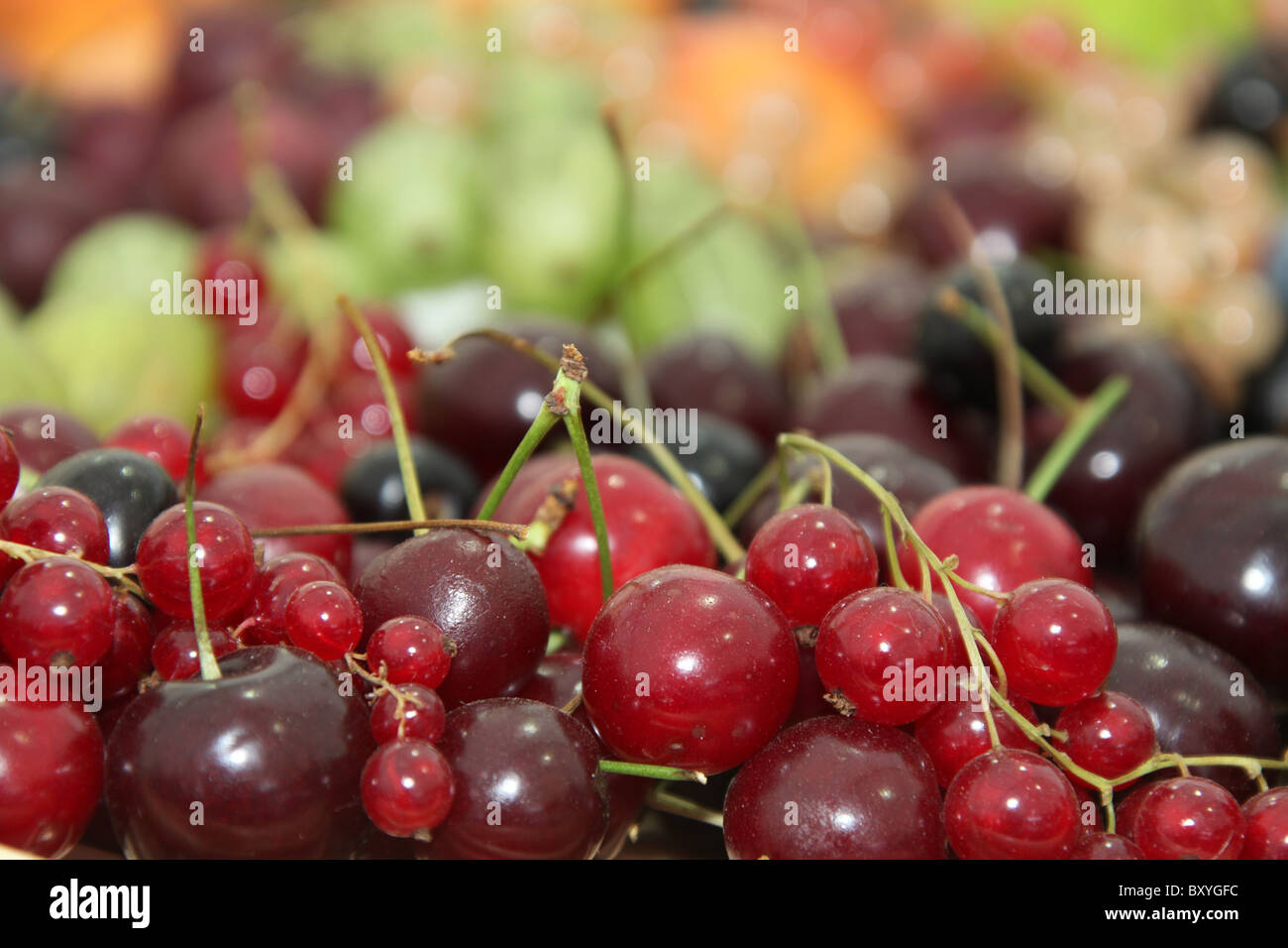 RHS Tatton, Cheshire. Frutta estiva concorso ad RHS Tatton. Foto Stock