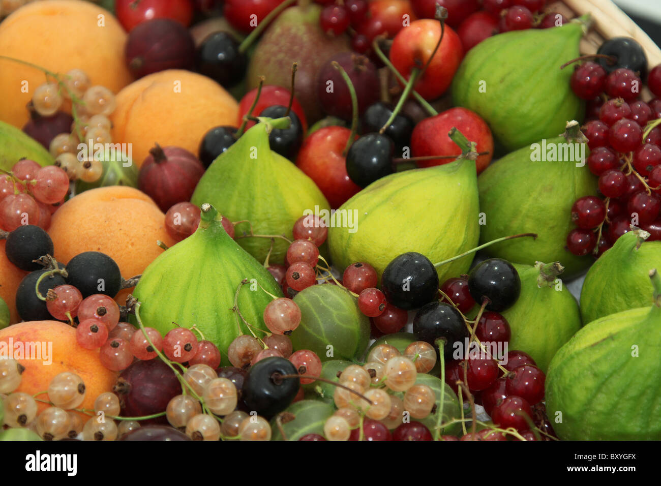 RHS Tatton, Cheshire. Frutta estiva concorso ad RHS Tatton. Foto Stock