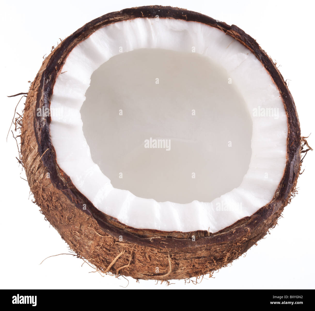 Foto di alta qualità e di noci di cocco su uno sfondo bianco. Foto Stock