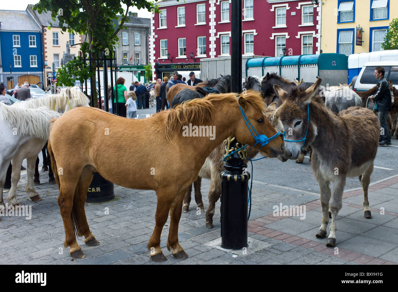 Fiera dei cavalli in piazza del mercato a Kilrush, Co. Clare, Irlanda. Tradizionale per la gente del posto e per i viaggiatori di commercio cavalli e asini Foto Stock
