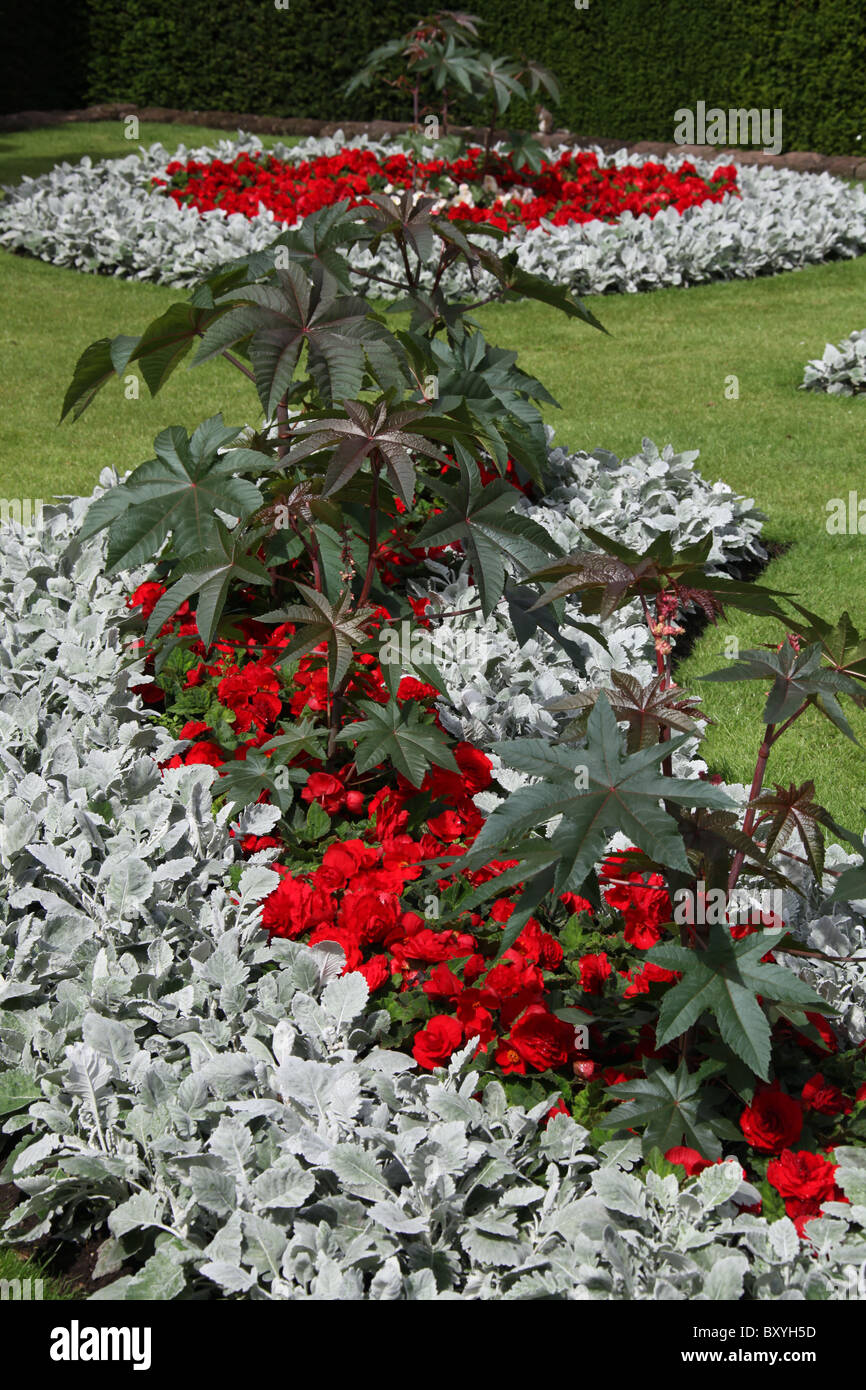 Walton Hall e giardini. Vista estiva di rosso begonia è in piena fioritura a Walton Hall Gardens. Foto Stock