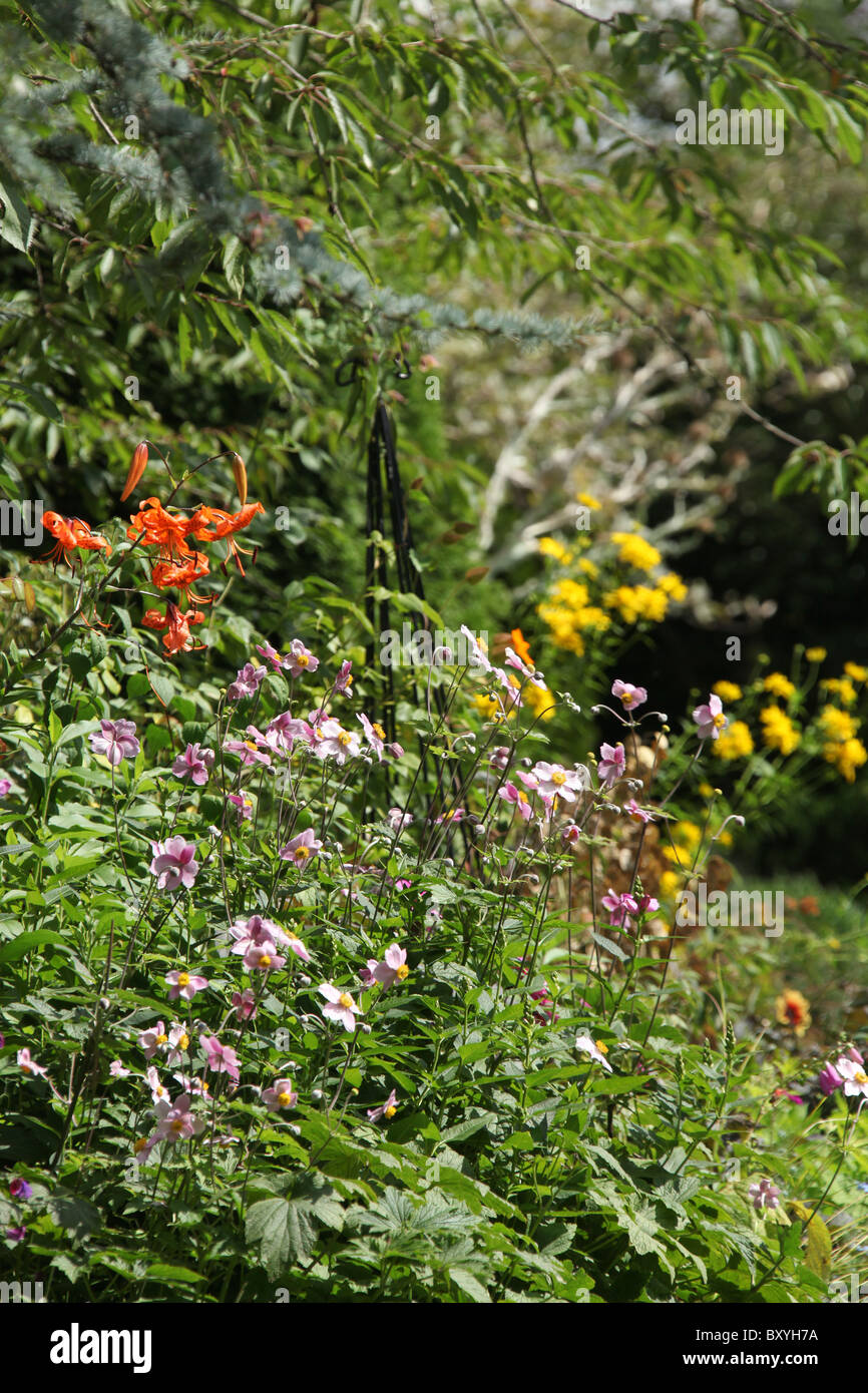 Il pianto del giardino di cenere, Inghilterra. Vista estiva di pianto giardini di cenere. Foto Stock