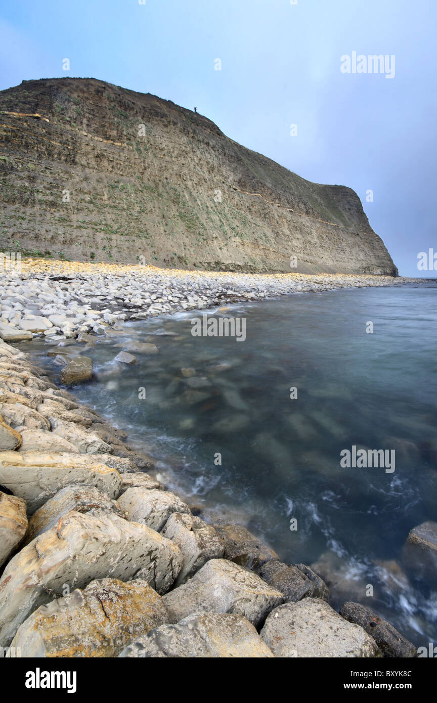 La spiaggia rocciosa e scogliere da Kimmeridge Bay - Dorset la Jurassic Coast Foto Stock