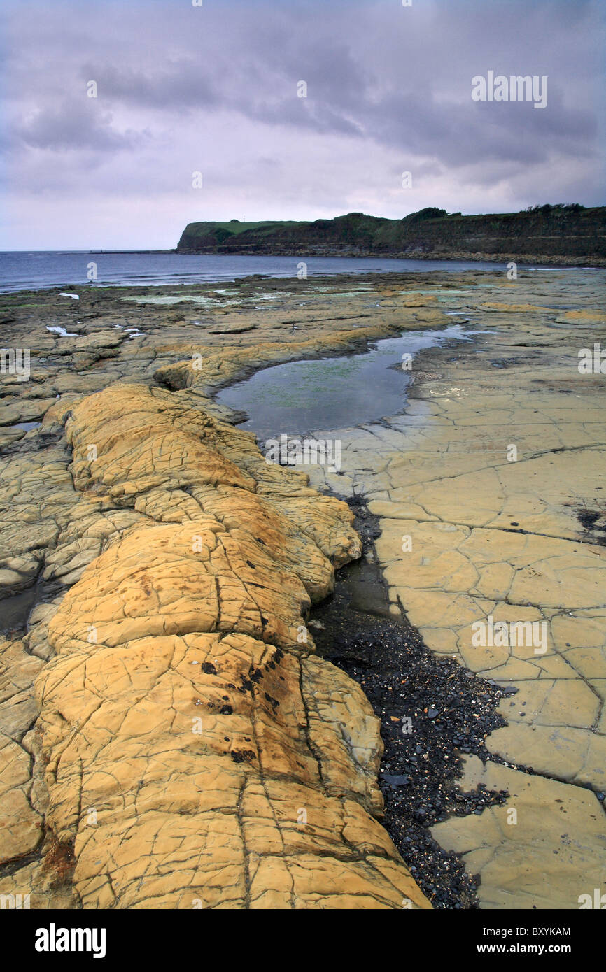 Kimmeridge Bay - colori, linee e crepe nelle rocce dalla spiaggia Foto Stock