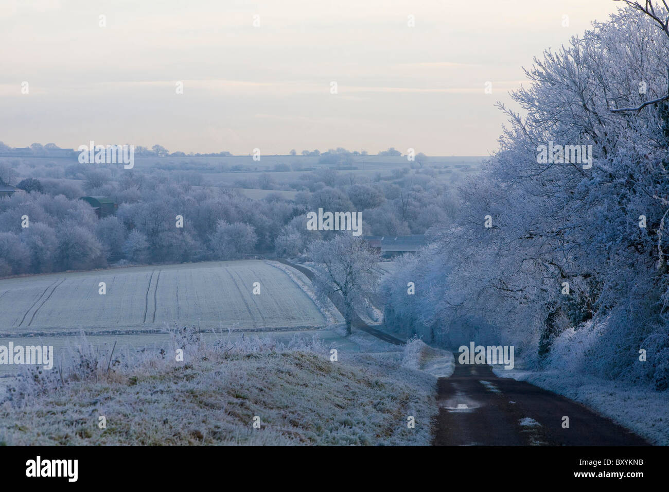 Trasformata per forte gradiente brina sul paese riural terra Suffolk REGNO UNITO Foto Stock