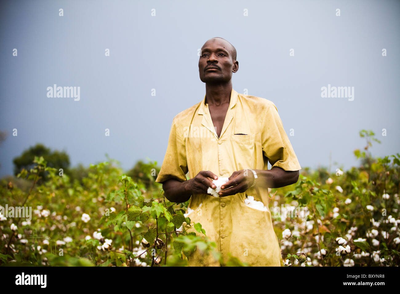 Coltivatore di cotone dal Mali Foto Stock