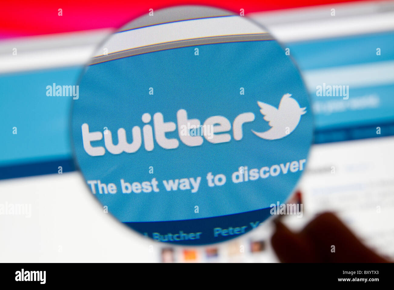 Sito web di Twitter bird logo con lente di ingrandimento. Foto Stock