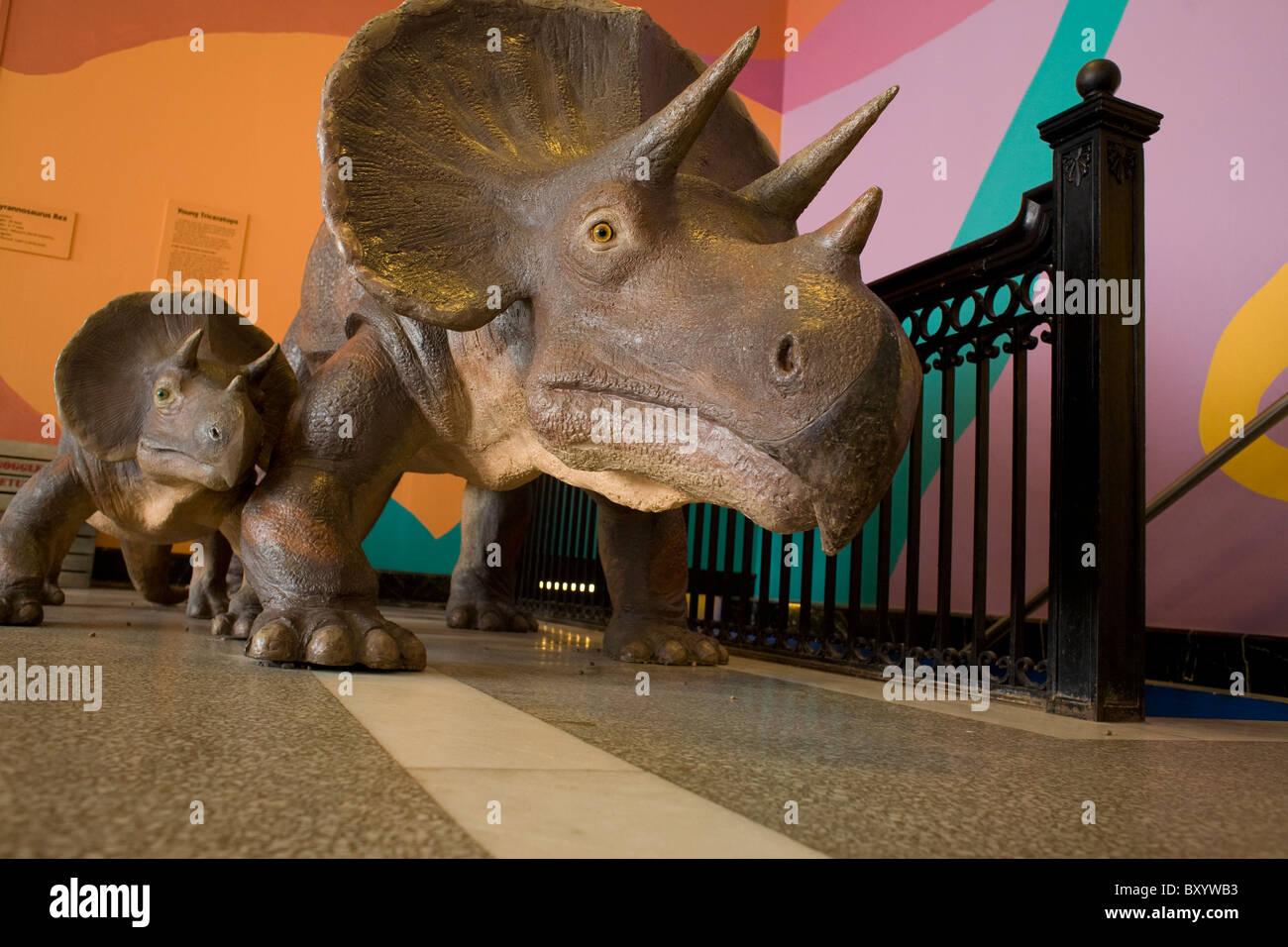 Berkshire Museum modelli di dinosauri a guardia della scalinata nel la sezione per bambini del museo di Pittsfield, Massachusetts Foto Stock