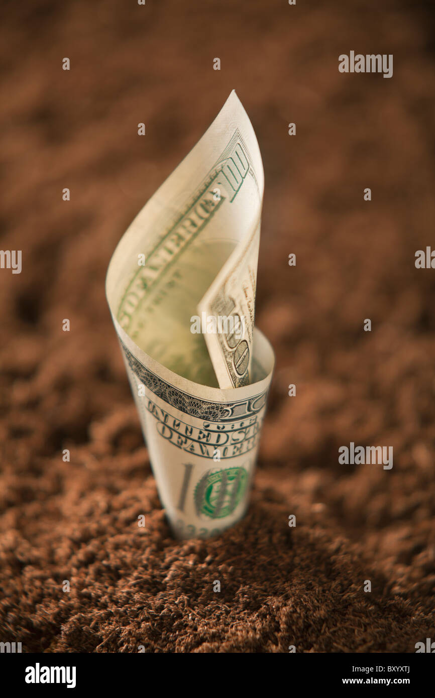 Un centinaio di dollari nel suolo Foto Stock