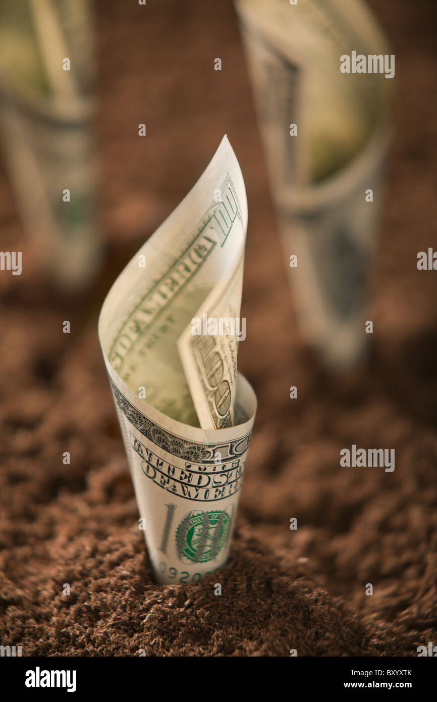 Un centinaio di dollari nel suolo Foto Stock