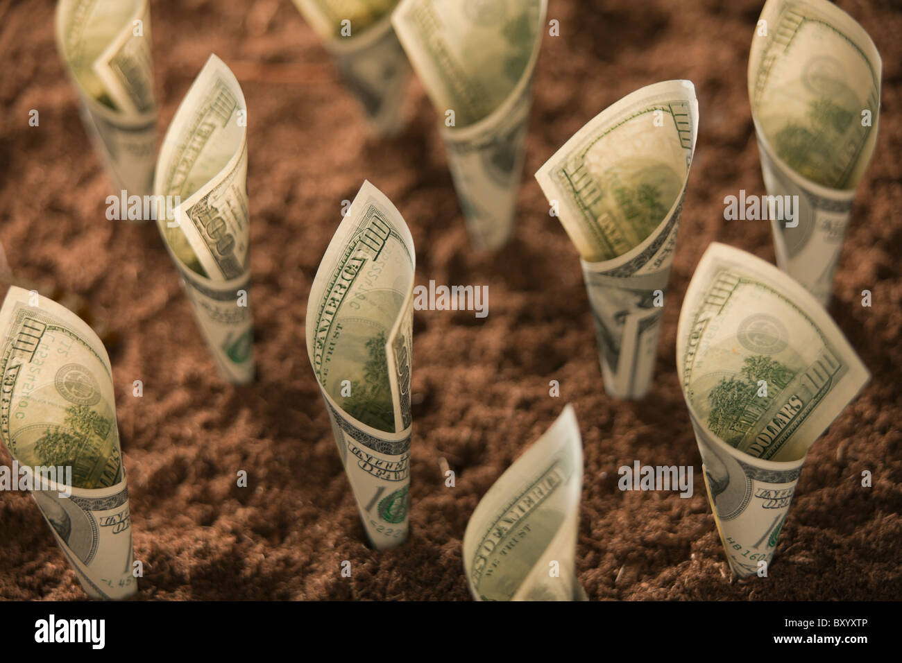 Banconote da cento dollari nel suolo Foto Stock