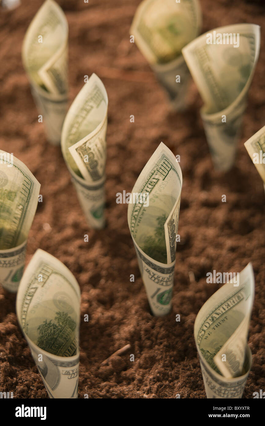 Banconote da cento dollari nel suolo Foto Stock