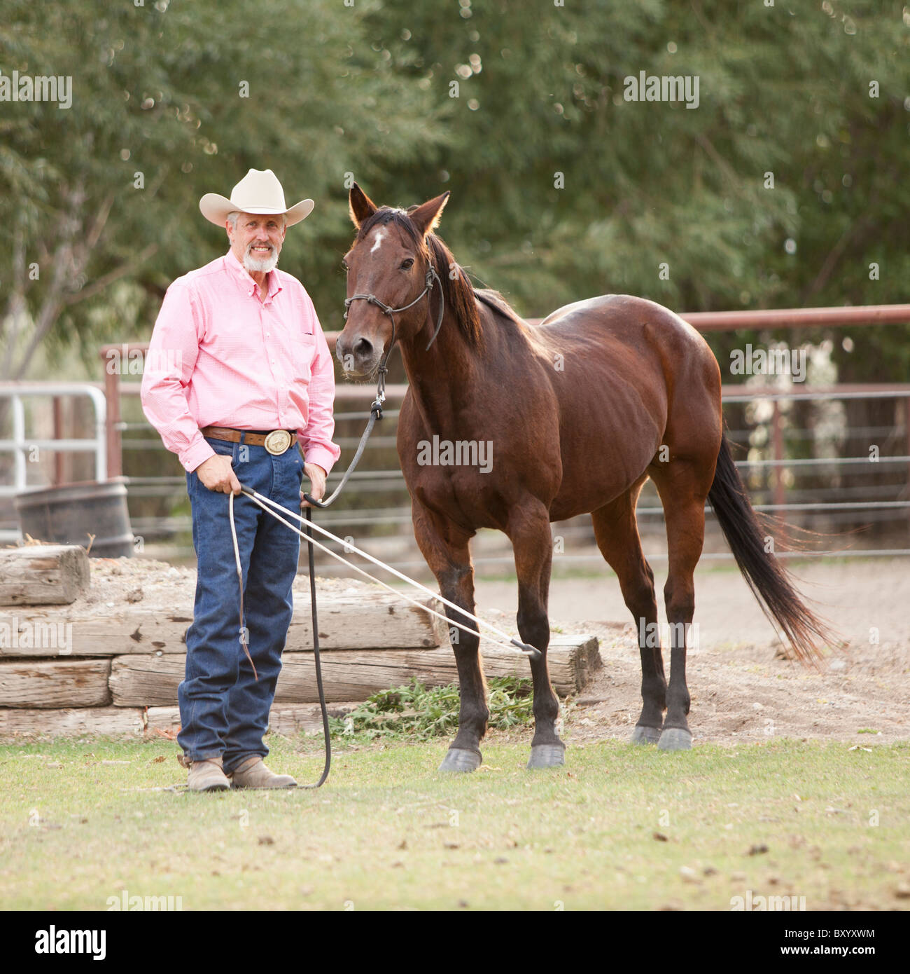 Ritratto di uomo anziano con cavallo in ranch Foto Stock