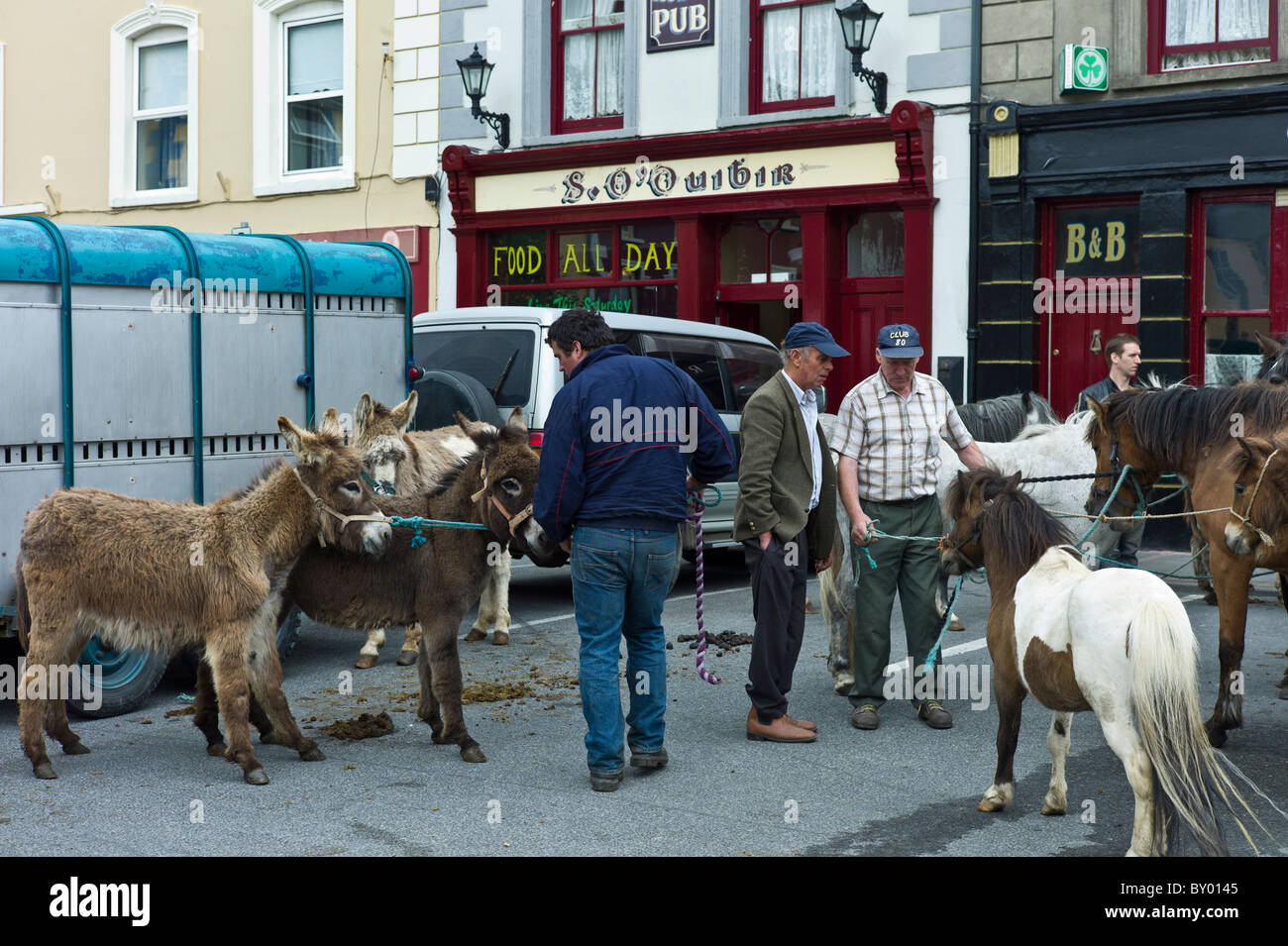 Fiera dei cavalli in piazza del mercato a Kilrush, Co. Clare, Irlanda. Tradizionale per gli agricoltori e ai viaggiatori di commercio cavalli e asini Foto Stock