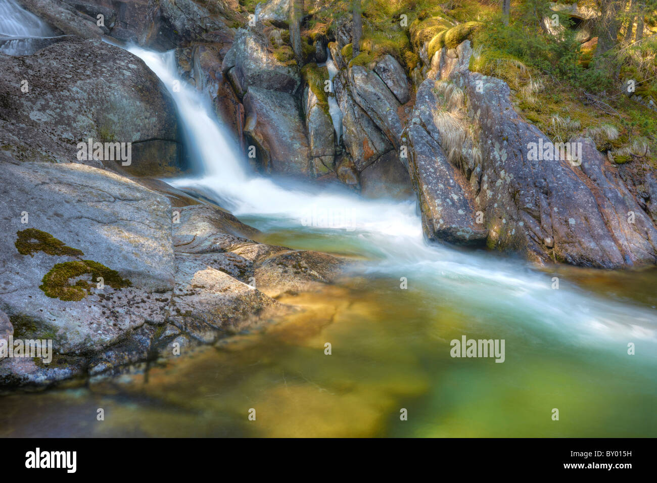Ruscello di montagna - paesaggio dei Monti Tatra, Tatra, Studena dolina, Repubblica Slovacca Foto Stock