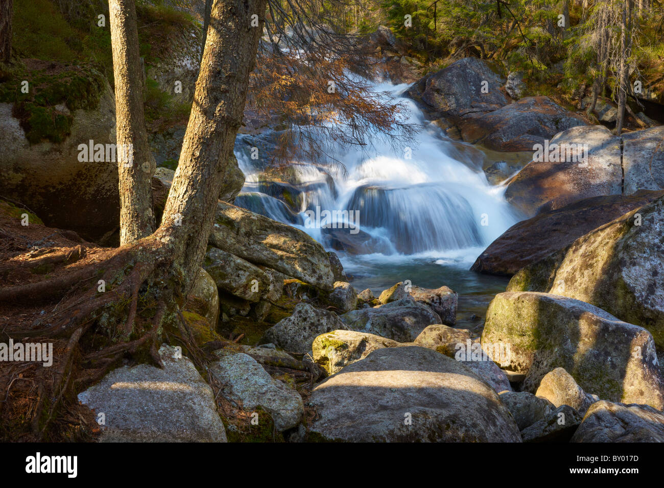 Ruscello di montagna - paesaggio dei Monti Tatra, Tatra, Studena dolina, Repubblica Slovacca Foto Stock