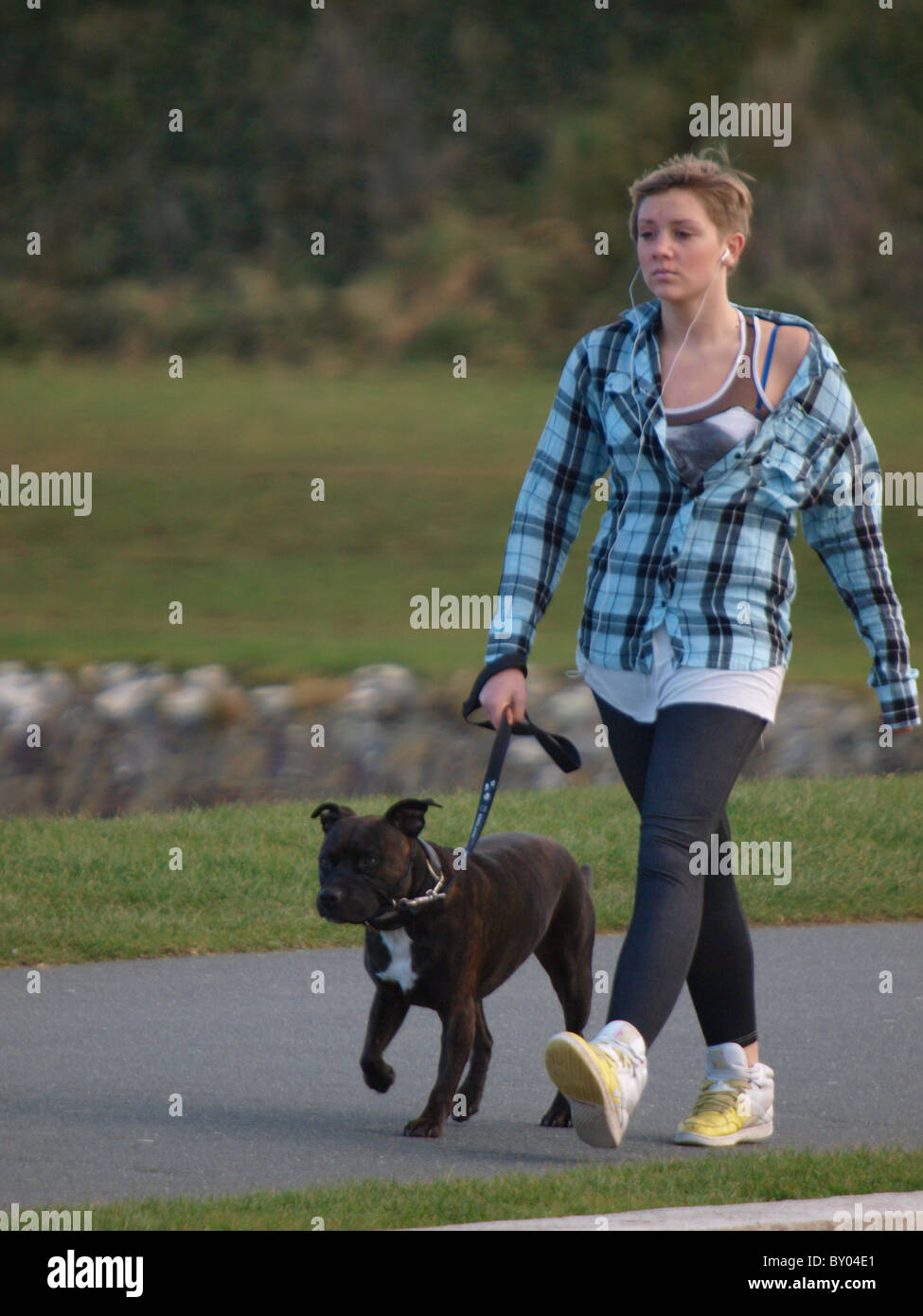 Ragazza adolescente a piedi il suo cane, Cornwall, Regno Unito Foto Stock