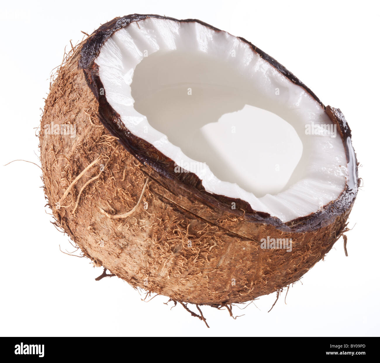Foto di alta qualità e di noci di cocco su uno sfondo bianco. Foto Stock