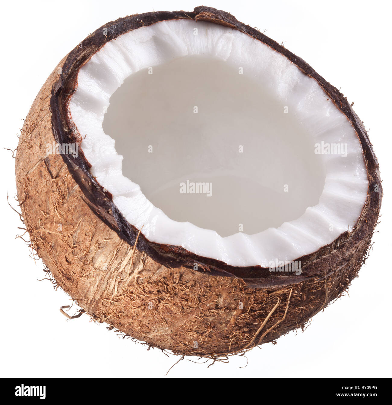 Foto di alta qualità e di noci di cocco su uno sfondo bianco. Foto Stock
