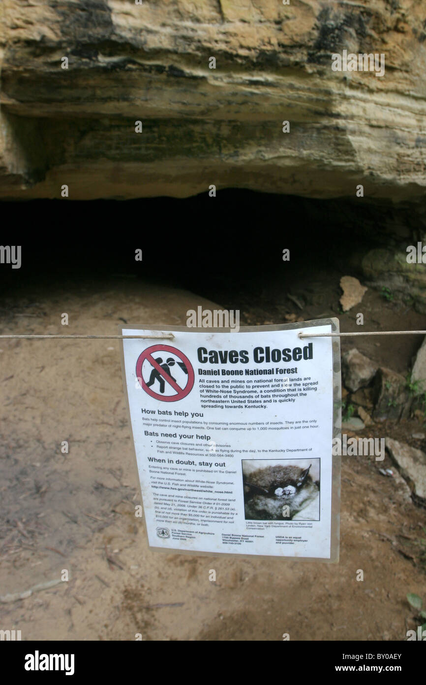 Grotta di segno chiusa per proteggere i pipistrelli dal naso bianco sindrome di malattia fungina Kentucky Foto Stock