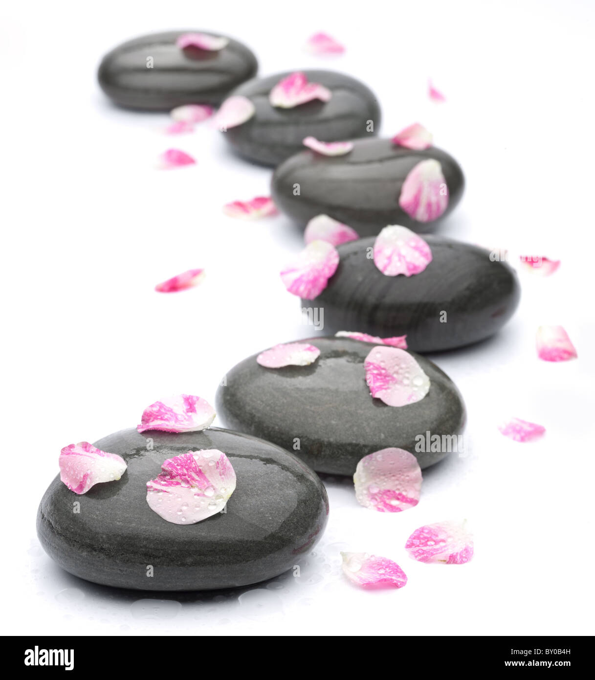 Spa pietre con petali di rosa su sfondo bianco. Foto Stock