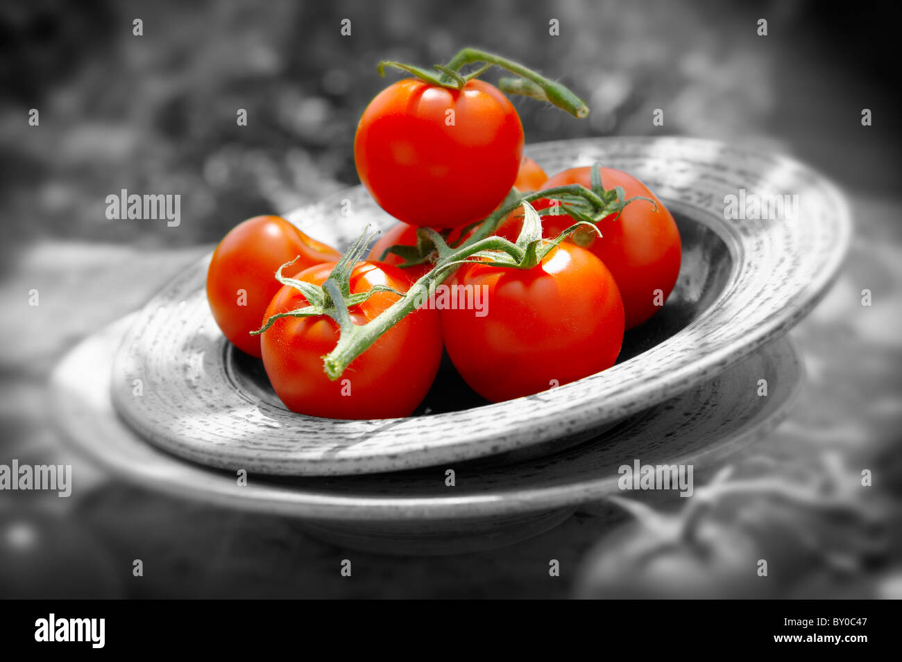 Freschi pomodori interi sulla vite Foto Stock