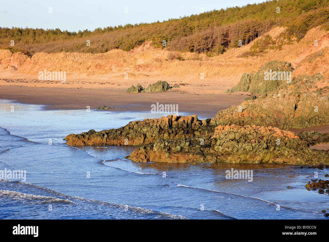 Rocce laviche di basalto Pillow, spiaggia di Malltraeth e foresta di Newborough dall'isola di Llanddwyn. Newborough, Isola di Anglesey, Galles del Nord, Regno Unito, Gran Bretagna Foto Stock