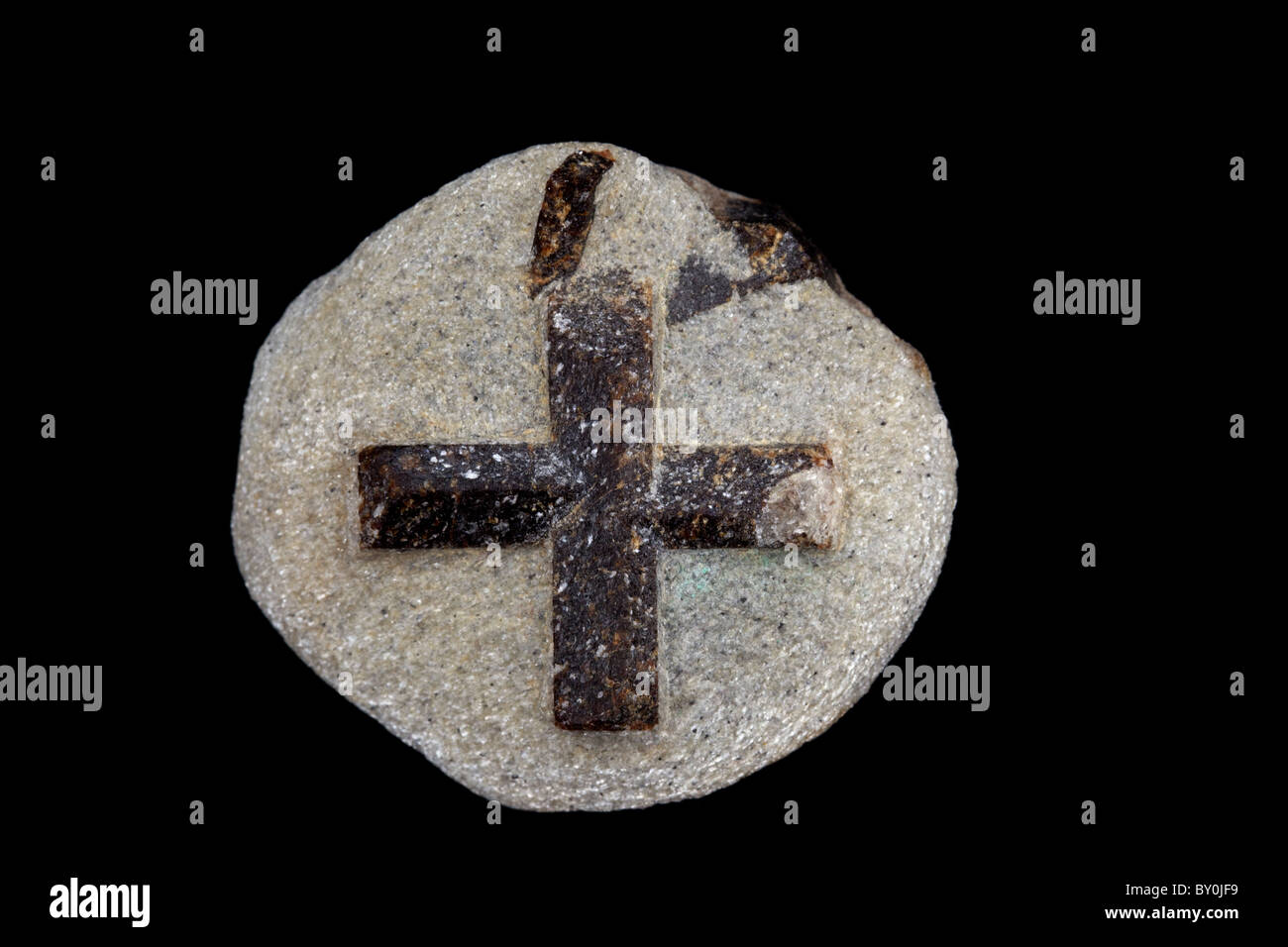 Staurolite - ferro idrato silicato di magnesio alluminio - Russia - penisola di Kola - spesso gemellata con la caratteristica forma a croce Foto Stock