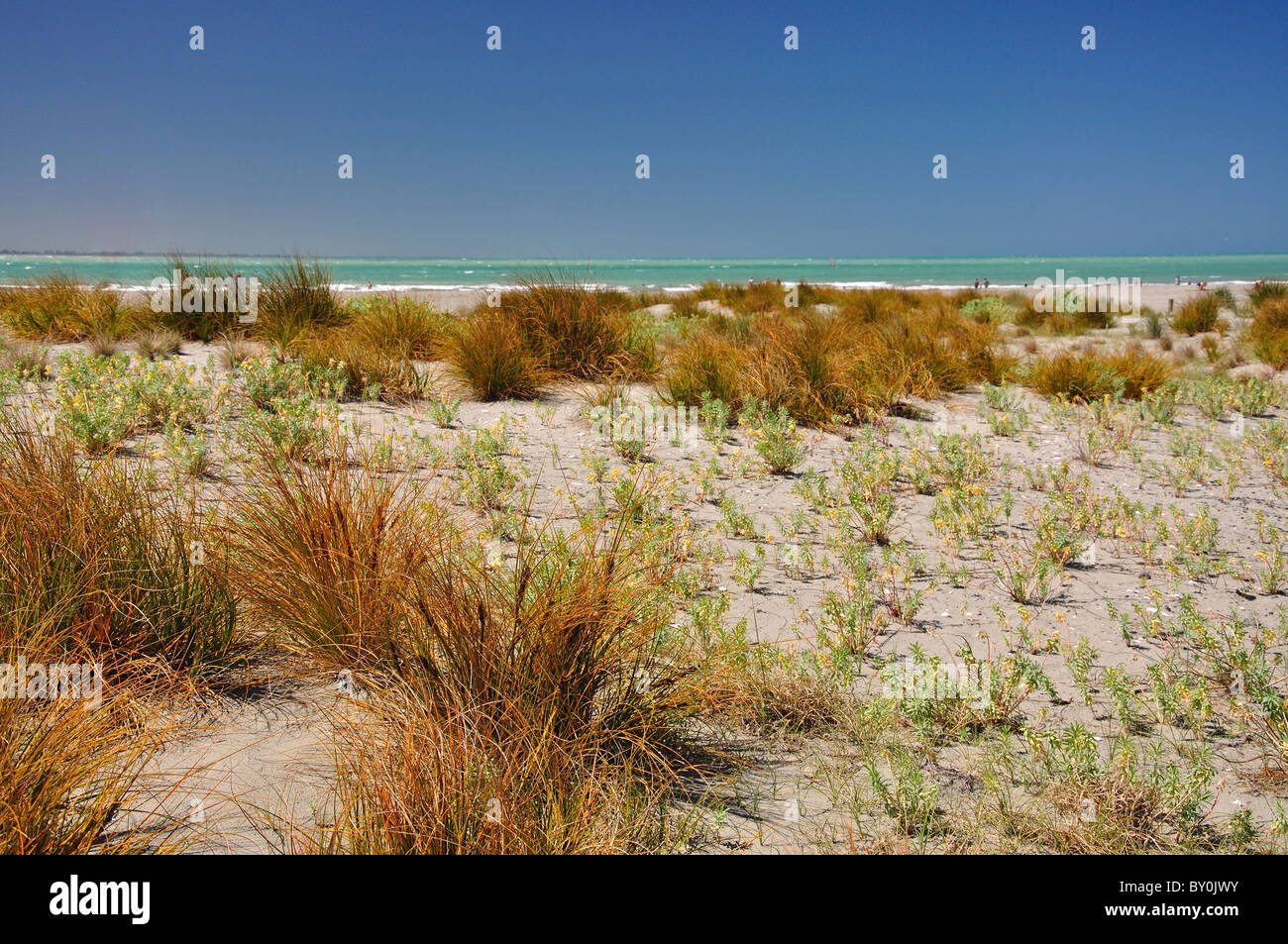 Le dune di sabbia a Caroline Bay, Timaru, Mid-Canterbury, Canterbury sud, Isola del Sud, Nuova Zelanda Foto Stock