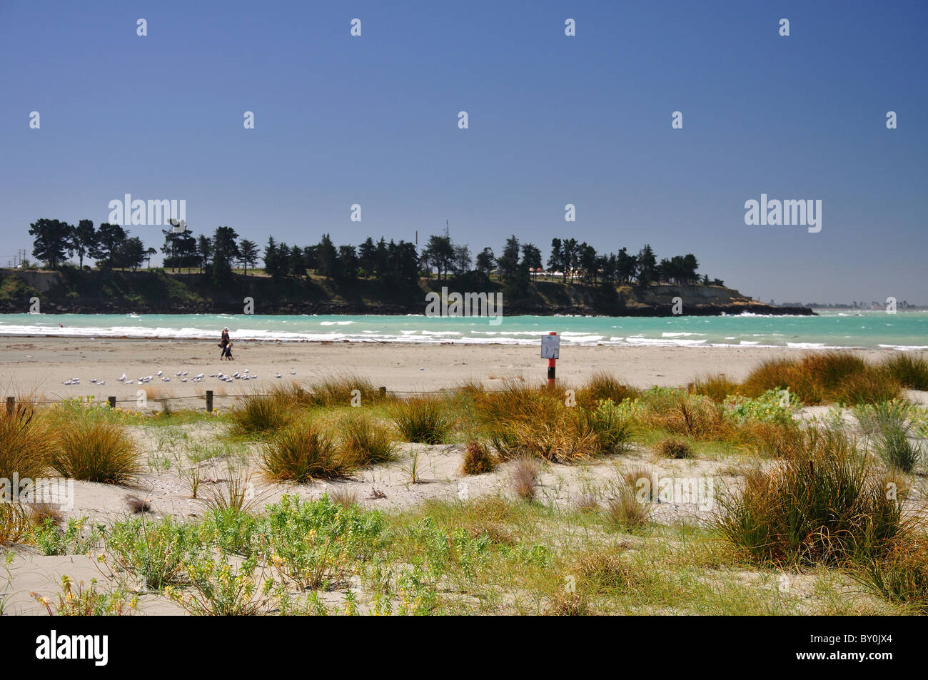 Spiaggia e dune di sabbia, Caroline Bay, Timaru (te Tihi-o-Maru), Canterbury, South Island, nuova Zelanda Foto Stock