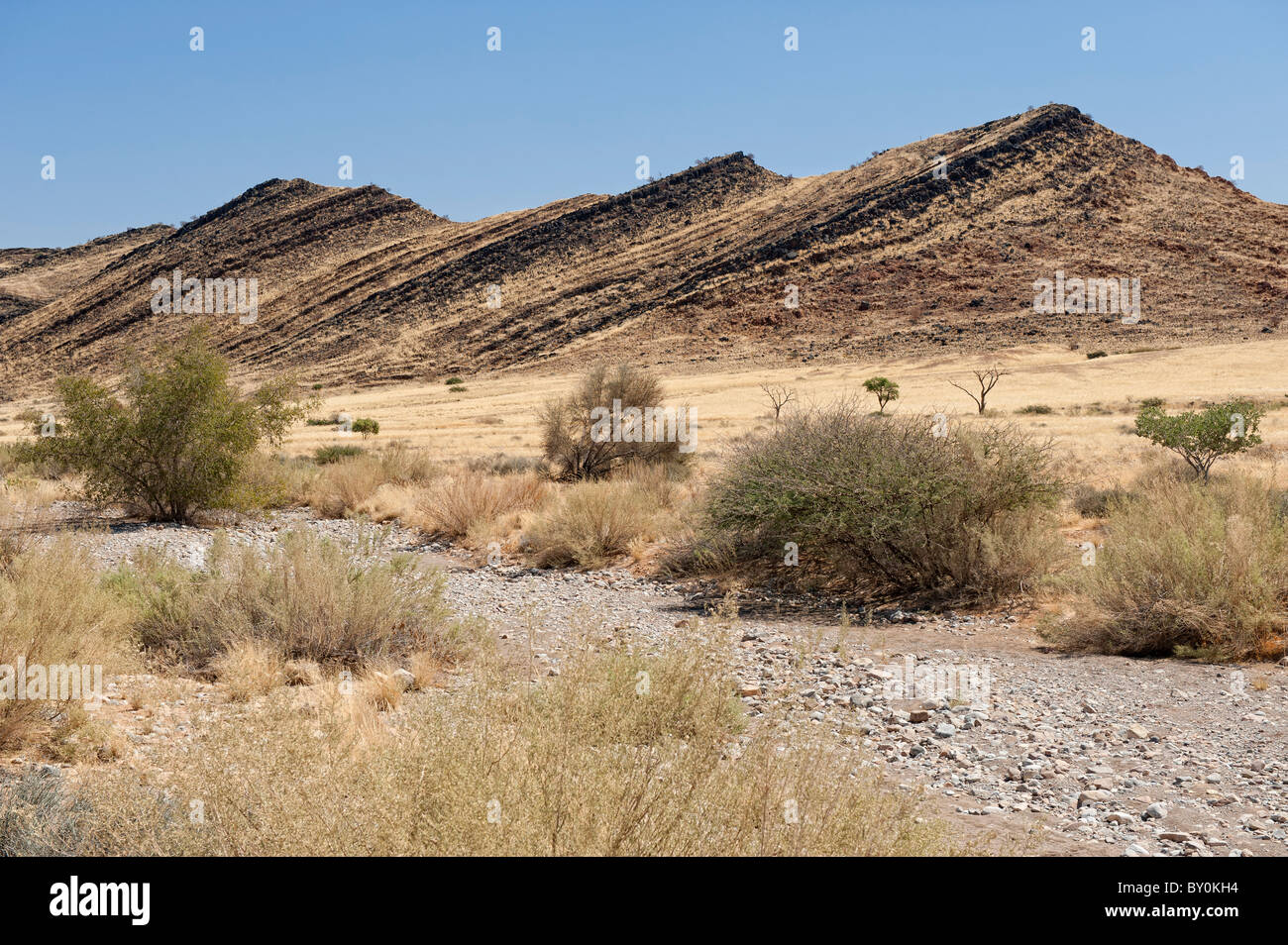 Letto asciutto del fiume, Naukluft Montagne (Naukluftberge) Namibia centrale. Questa gamma alta intercetta cosa poca umidità soffia dall'Oceano Atlantico Foto Stock