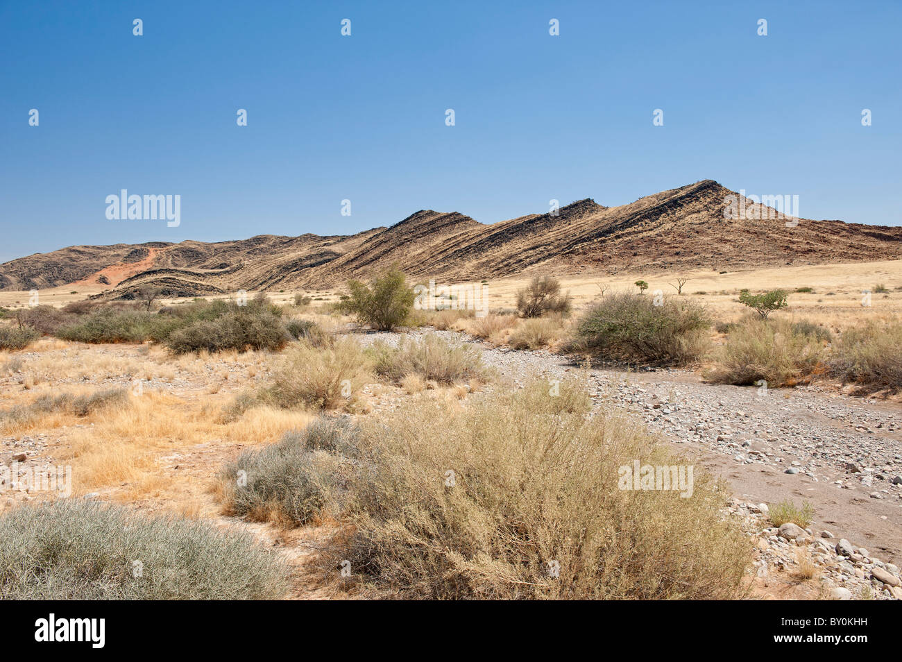 Letto asciutto del fiume, Naukluft Montagne (Naukluftberge) Namibia centrale. Questa gamma alta intercetta cosa poca umidità soffia dall'Oceano Atlantico Foto Stock