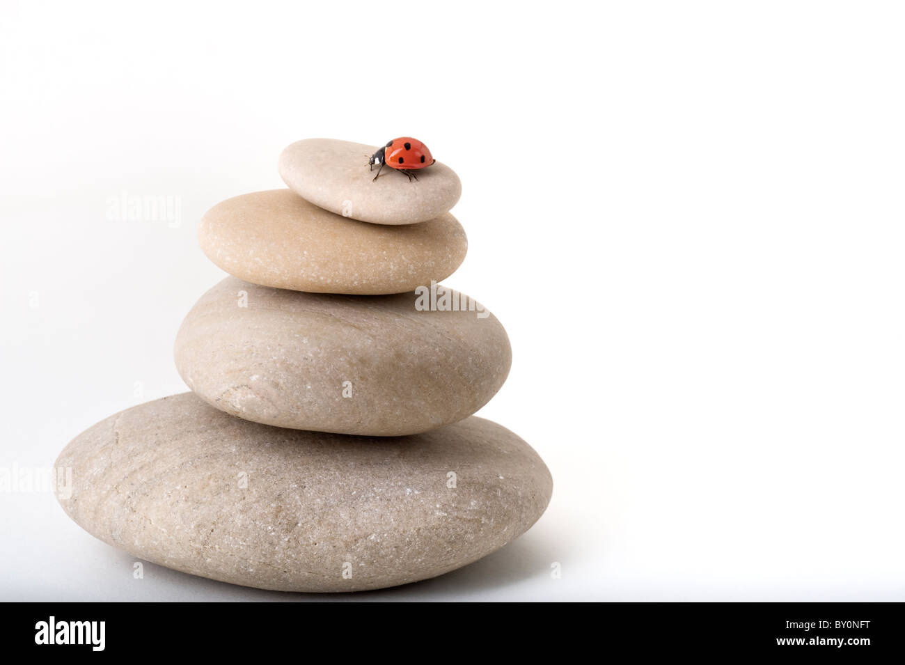 Coccinella sul mucchio di pietre isolato su bianco Foto Stock