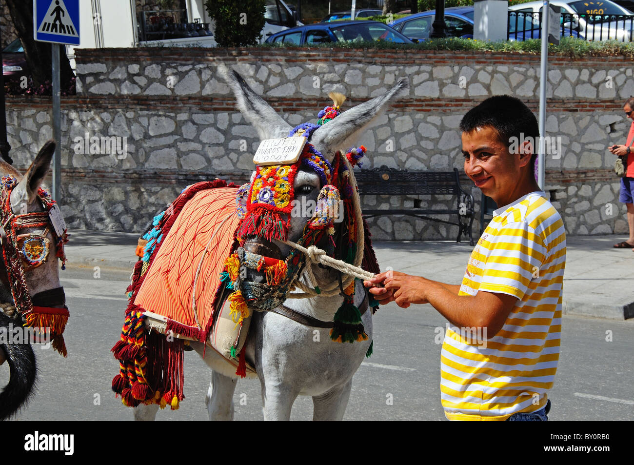 Asino (burro taxi), Mijas, Costa del Sol, provincia di Malaga, Andalusia, Spagna, Europa occidentale. Foto Stock