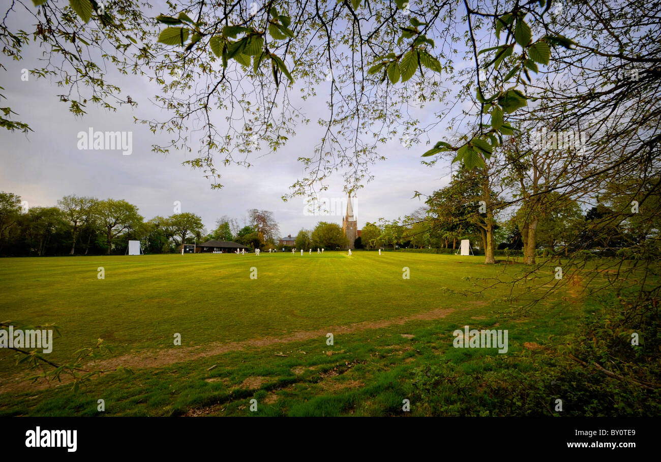 Rurale Sussex: i giocatori in azione sul villaggio campo da cricket di Chiddingly. Foto da Jim Holden. Foto Stock