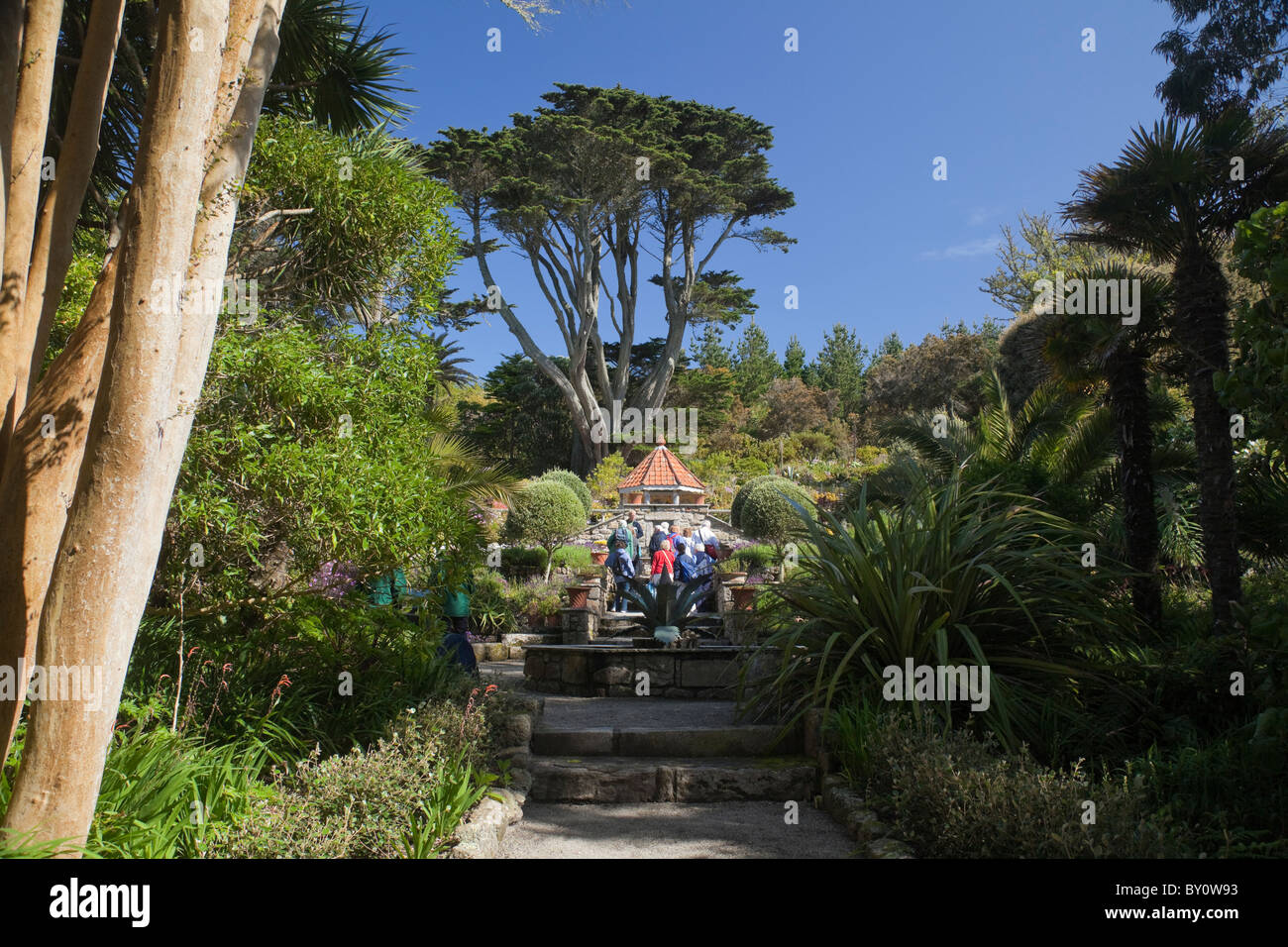 Turista è guidato attraverso il Abbey Gardens sull isola di Tresco nelle isole Scilly Gran Bretagna Foto Stock