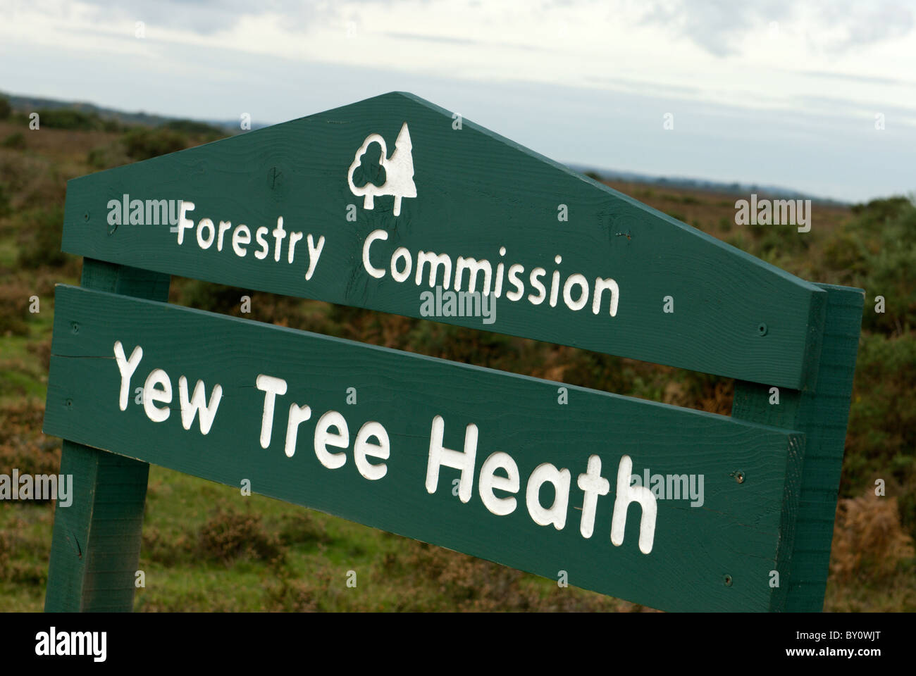 Commissione forestale signage a Yew Tree Heath nel nuovo Parco Nazionale Foreste Hampshire Foto Stock