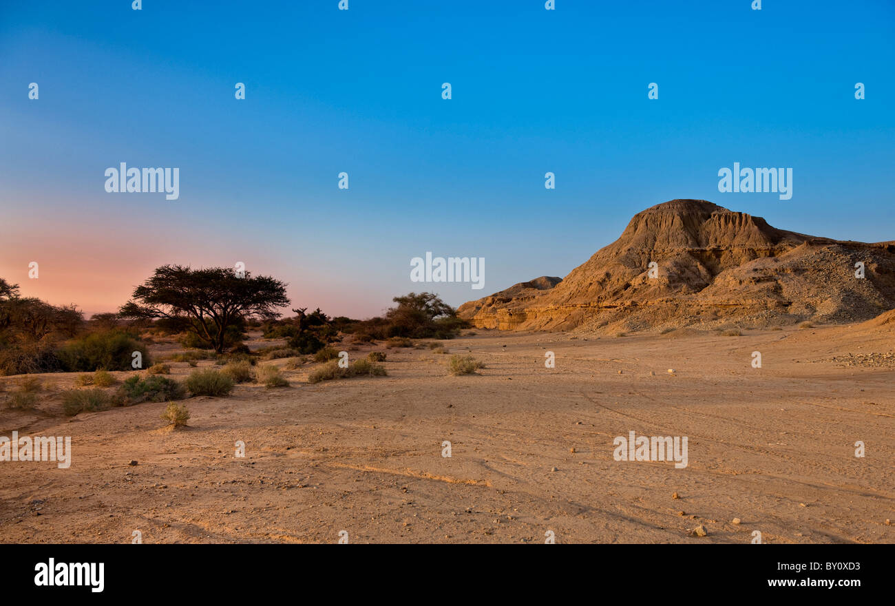 Arava vallata desertica, Israele. Foto Stock