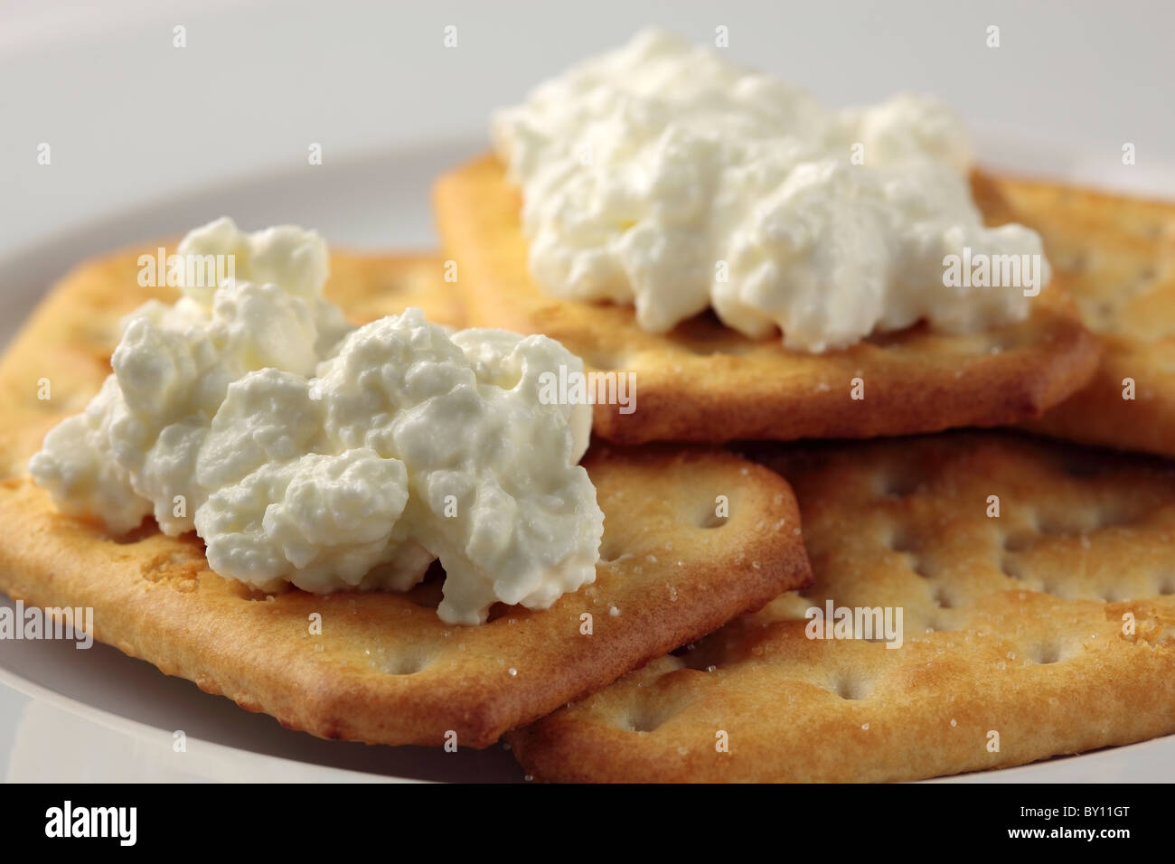 Cottage Cheese su tuc biscotti Foto Stock