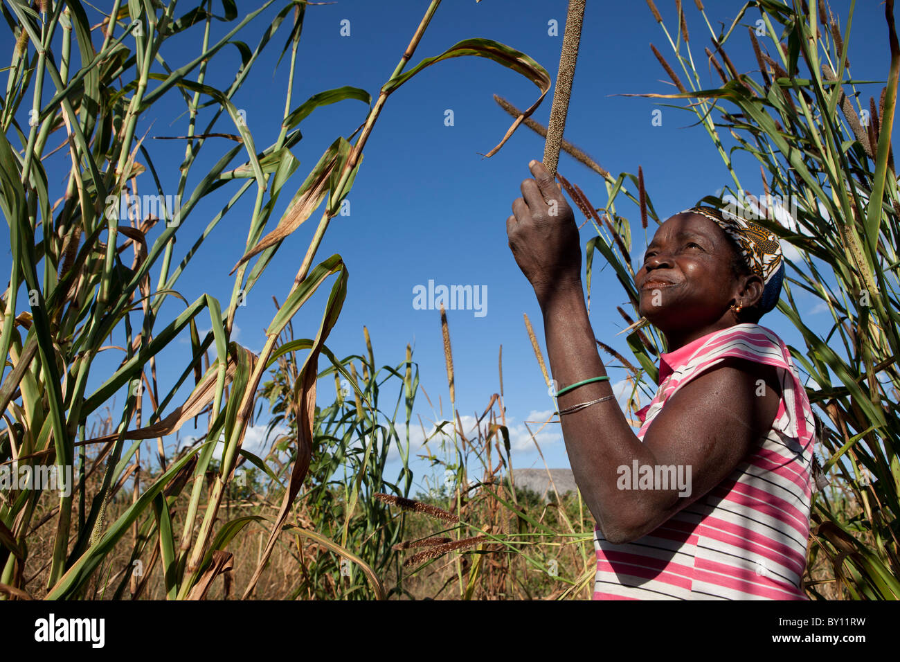 MECEBURI vicino a Nampula, Mozambico, Maggio 2010: Adrina Veleke, un agricoltore e madre single, con il suo raccolto di miglio accanto alla sua casa. Foto Stock
